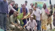 রাজারহাটে ইউএনওর বৃক্ষরোপণ, মেট্রোরেলে বিড়ালের কারণে চলাচল বন্ধ