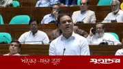 সংসদে হুইপের কুরআনের আয়াত ভুল, সংশোধন করলেন বিরোধী এমপি