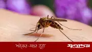মশা কেন নির্দিষ্ট মানুষকে বেশি কামড়ায়? বিজ্ঞানীদের রহস্য উন্মোচন