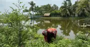 জলবায়ু পরিবর্তনে বাগেরহাটের নারীরা কৃষিক্ষেত্রে প্রধান হয়ে উঠছেন