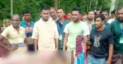 জামালপুরে বনে লাকড়ি কাটতে গিয়ে হাতির আক্রমণে কাঠুরিয়ার মৃত্যু