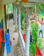 লক্ষ্মীপুরে যুবদল নেতার বাড়িতে গুলি, ভাই গ্রেপ্তার এড়িয়ে পলাতক