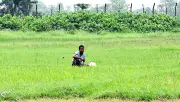 জামালপুর সীমান্তে শূন্যরেখায় আটকে পড়া যুবক, ১৮ ঘণ্টা ধরে মানবেতর অবস্থা