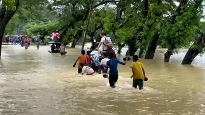 সাতক্ষীরায় বাস-অটোরিকশা সংঘর্ষে নিহত ২, আহত ১০