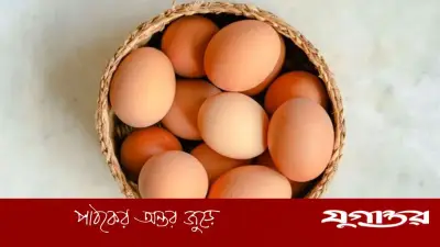 নষ্ট না টাটকা: ডিম ভাঙার আগে চেনার ৪ সহজ উপায়
