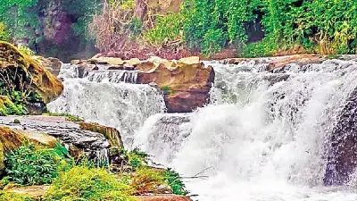 বান্দরবানে ভারী বর্ষণে নাফাখুমে আটকে পড়া ৭৯ পর্যটক উদ্ধার