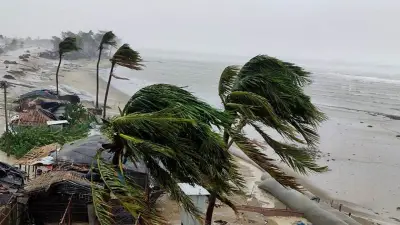 বান্দরবান-রাঙ্গামাটি সড়ক বন্ধ, কক্সবাজারে ২৬ মৃত্যু, ঢামেকে বৃক্ষরোপণ উদ্বোধন