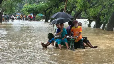 বৃষ্টির সৌন্দর্যে ভাস্বর প্রকৃতি: টগর ফুল থেকে শাপলা, পাখি থেকে পোকা
