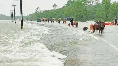 বড় বন্যার শঙ্কা, প্লাবিত হতে পারে ১৬ জেলা, প্রাথমিকের বৃত্তি পরীক্ষার ফল প্রকাশ বৃহস্পতিবার