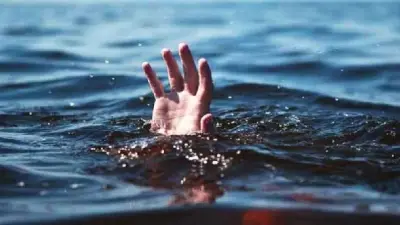 ভাই-বোনের পানিতে ডুবে মৃত্যু, শাহরুখের 'কিং'-এ চমক, বৃত্তি পরীক্ষার ফল প্রকাশ না হওয়া