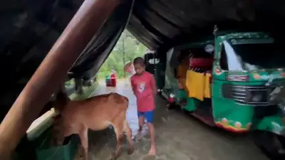 ঢাকায় বাসের ধাক্কায় নিহত ১, আহত ৫