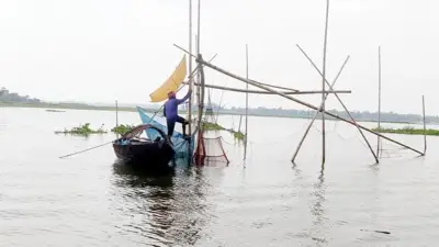 চলনবিলে পোনা নিধন, সেতু নির্মাণে অনিয়মের অভিযোগ; ববি হাজ্জাজের শিক্ষা উদ্যোগ