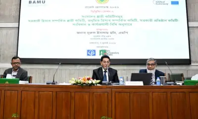 চিফ হুইপের এমপিদের প্রতি গণতান্ত্রিক শাসন জোরদারে সক্রিয় ভূমিকা রাখার আহ্বান