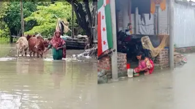 টানা বর্ষণে ভোলায় জলাবদ্ধতা, পানিবন্ধি ২০ হাজার মানুষ