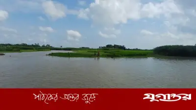 লক্ষ্মীপুরে টানা বৃষ্টি ও মেঘনার পানিতে তলিয়ে গেছে ৩০০ হেক্টর জমির ফসল