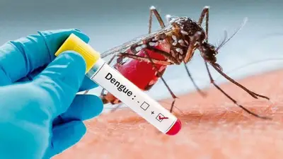 ডেঙ্গুতে একজনের মৃত্যু, হাসপাতালে ভর্তি ১৬৩; গম আমদানি ও স্মার্টকার্ড বিতরণের খবর