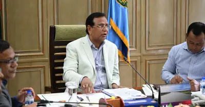 ঢাকা দক্ষিণ সিটিতে বৃক্ষরোপণ মহাপরিকল্পনা, কমিটি গঠন
