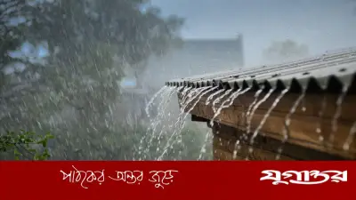 বৃষ্টির পানিতে ঘামাচি কমে? চিকিৎসকরা যা বলছেন