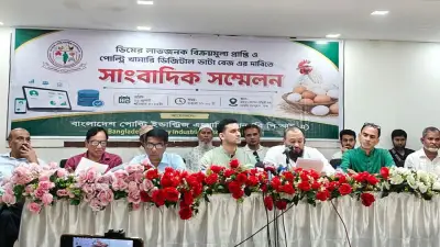 ডিমে ৪ টাকা দাবি, মাসে ৫০০ কোটি লোকসান: খামারিদের সংকট