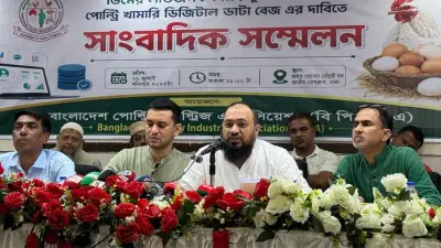 প্রতি ডিমে ৪ টাকা লোকসান প্রান্তিক খামারিদের, মাসে ৫০০ কোটি টাকা ক্ষতি