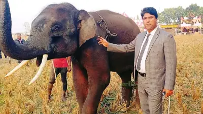 গাজীপুর সাফারি পার্কে আহত হাতি রাজু বাহাদুরের চিকিৎসায় প্রধানমন্ত্রীর হস্তক্ষেপ চাইলেন মালিক