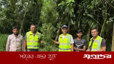 কুড়িগ্রামে গ্রিনহাউসে গাঁজা চাষ, পিতা-পুত্র পলাতক