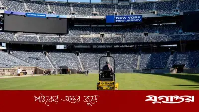 বিশ্বকাপে আয় বাড়াতে ফিফার অভিনব উদ্যোগ: ফাইনাল মাঠের ঘাসের টুকরো বিক্রি