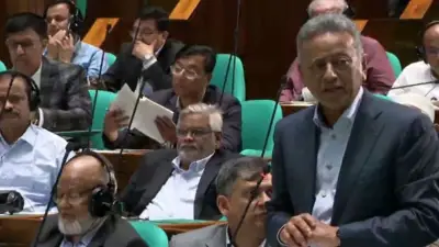 সংসদে মুজিবর্ষ উদযাপনে ব্যয়ের তথ্য দিলেন অর্থমন্ত্রী