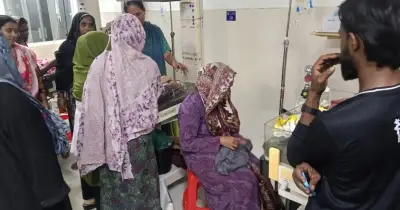 ফরিদপুরে পাঁচ সন্তান প্রসব, চারজনের মৃত্যু