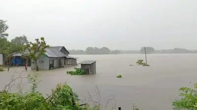বন্যায় নিরাপদ থাকতে যা করবেন: বিশ্ববিদ্যালয়ে সাশ্রয়ী সৌরবিদ্যুৎ উদ্যোগ