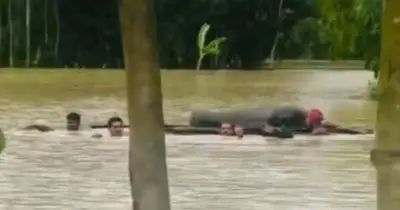 বন্যার পানিতে কলাগাছের ভেলায় ভাসিয়ে লাশ দাফন, সাতকানিয়ায় ঘটনা