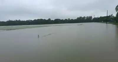 চট্টগ্রাম বিভাগের পাঁচ জেলায় বন্যায় কৃষির ব্যাপক ক্ষতি