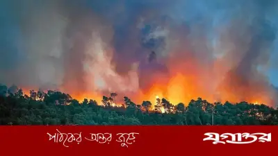 তাপপ্রবাহে বিপর্যস্ত ফ্রান্স, দাবানলে পুড়ছে বনাঞ্চল: ২ হাজার মৃত্যু