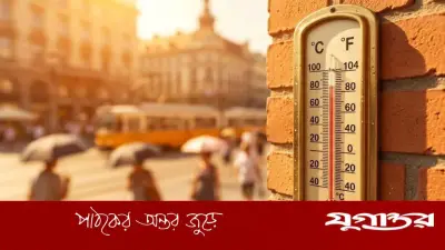 জার্মানিতে তীব্র দাবদাহে ৫ হাজার ১২০ জনের মৃত্যু, আরকেআইয়ের প্রতিবেদন