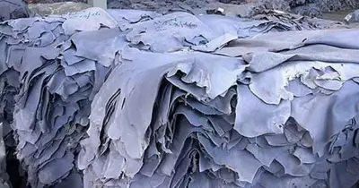 চামড়া শিল্প পুনরুজ্জীবনে সাভার ট্যানারির সিইটিপি আধুনিকায়ন করবে সরকার
