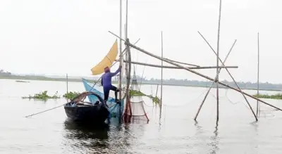চলন বিলে অবৈধ পোনা আহরণ হুমকি সৃষ্টি করছে