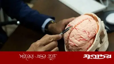 ইরানের নিউরন দিয়ে কৃত্রিম মস্তিষ্ক তৈরির দাবি, শিখতে সক্ষম