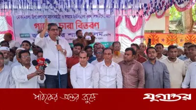 অক্টোবর-নভেম্বর থেকে স্থানীয় সরকার নির্বাচন শুরু হতে পারে: প্রতিমন্ত্রী