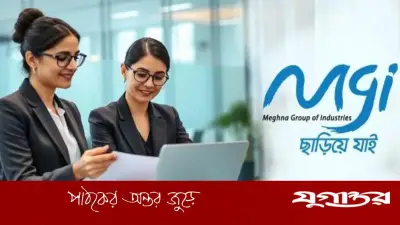 মেঘনা গ্রুপে ওয়েব ডেভেলপার পদে নিয়োগ, বয়সসীমা নেই