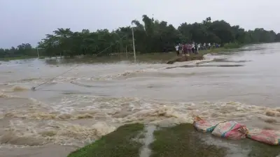 মনু নদীর বাঁধ ভেঙে ৩০ গ্রাম প্লাবিত, অর্ধলাখ মানুষ পানিবন্দি