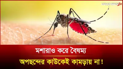 মশার বৈষম্য, মৃতের আত্মা, চাঁদে যাওয়া: আজকের নানা খবর