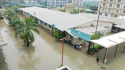 শিশুদের জন্য নতুন শিক্ষা কার্যক্রম চালু