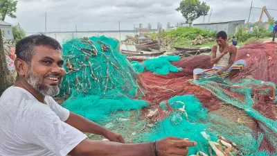 ইলিশ মৌসুম শুরু: নতুন আশায় চাঁদপুরের জেলেরা