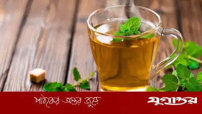 মাইগ্রেন ও মাথাব্যথায় পুদিনাপাতার চা: স্বস্তি পাবেন নিমিষেই
