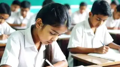 প্রাথমিক বৃত্তি পরীক্ষার ফল প্রকাশ ৯ জুলাই