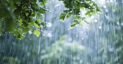 দেশের বিভিন্ন স্থানে বৃষ্টি, তাপপ্রবাহ প্রশমনের সম্ভাবনা