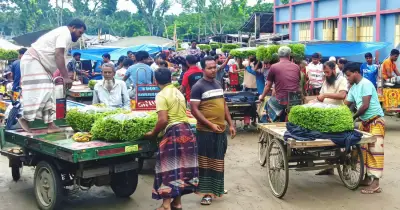 রাজশাহীর জিআই পানের উৎপাদন বেড়েছে, দাম কমেছে