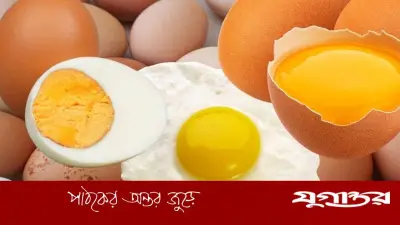 কাঁচা না সেদ্ধ ডিম: স্বাস্থ্যের জন্য কোনটি ভালো?