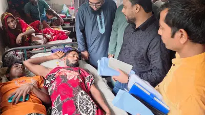 গলাচিপায় ট্রলারডুবি: ৬ জেলে নিখোঁজ, উদ্ধার ৫, চলছে তল্লাশি