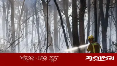 স্পেনের দাবানলে ১২ জনের মৃত্যু, আহত ৬